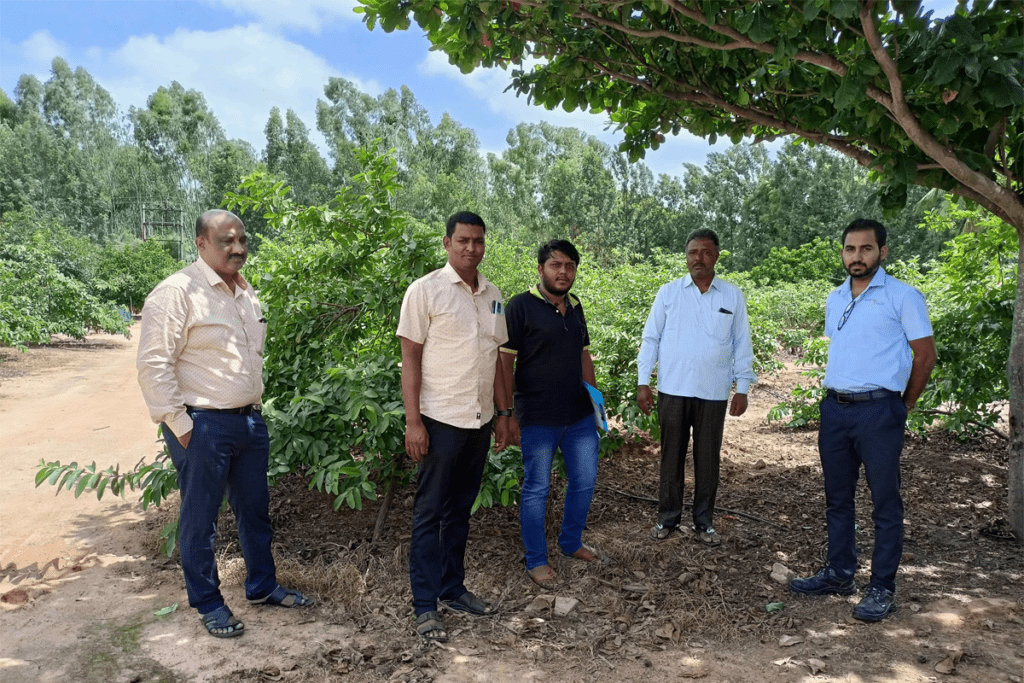 Farm development and assisting farmers for better yield – ABC Fruits