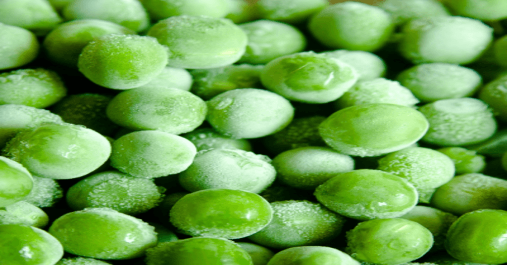 Frozen food processing Industry in India