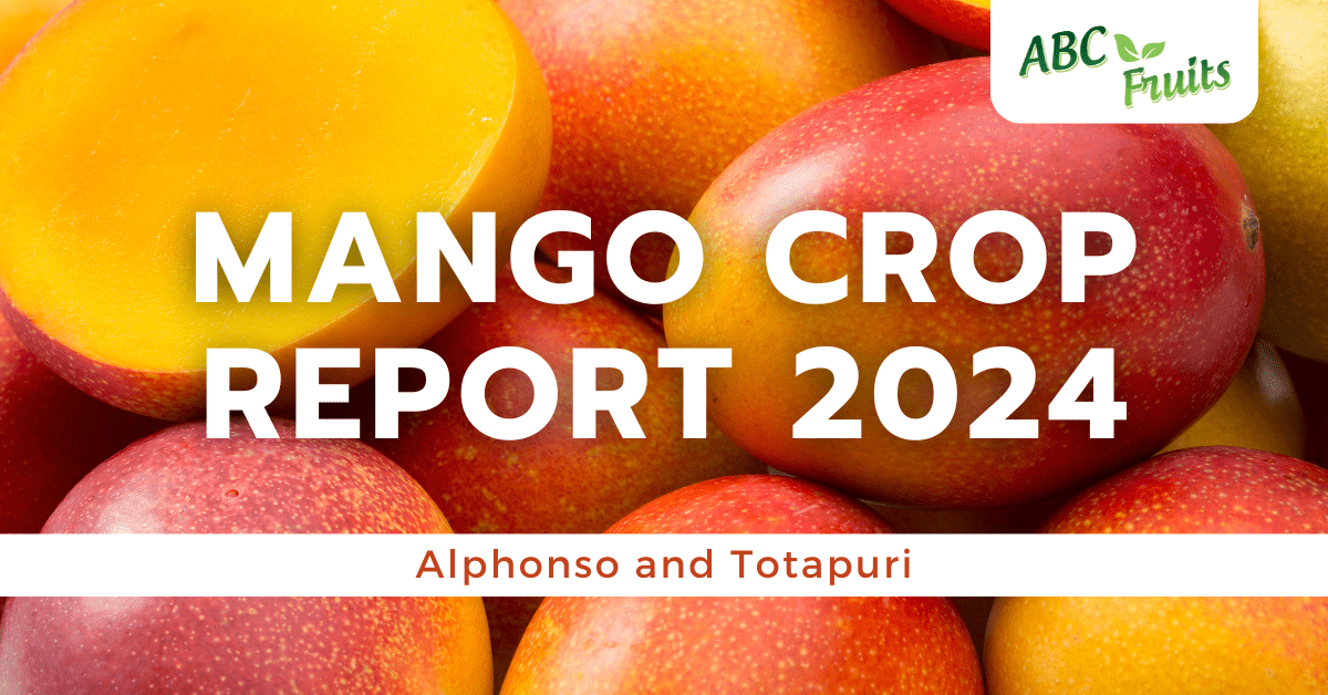 Mango crop report 2024