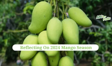 Mango crop report 2024 (3) (1)