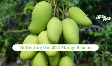 Mango crop report 2024 (3)