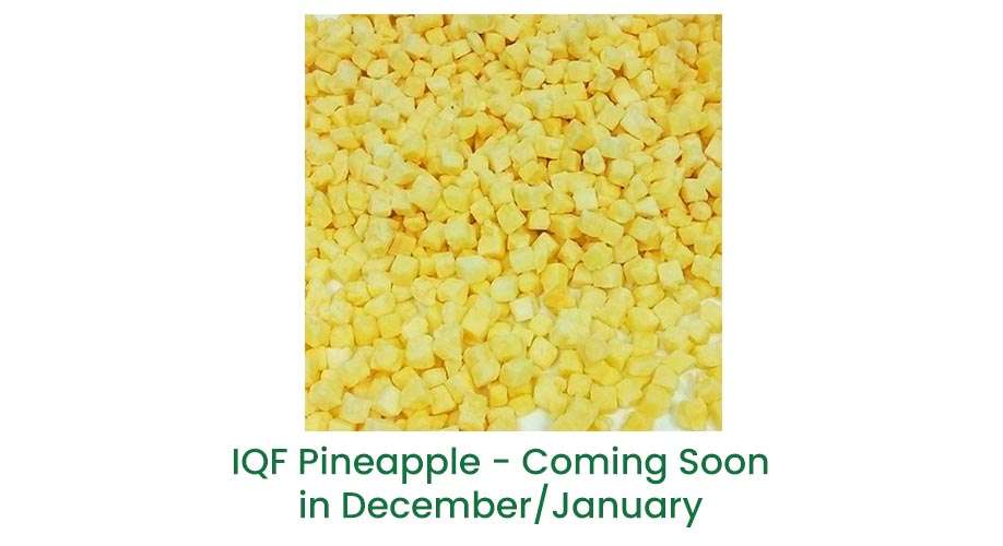 IQF Product Updates November 2024 Upcoming products 2 - ABC Fruits