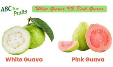 White Guava VS Pink Guava - ABC Fruits