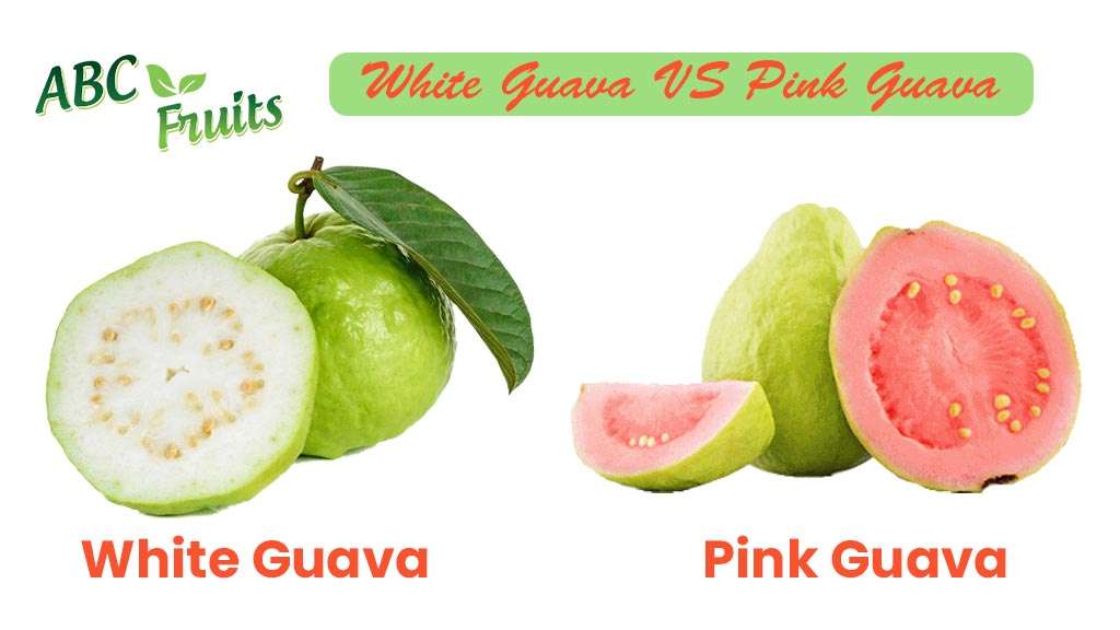 White Guava VS Pink Guava - ABC Fruits