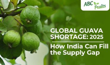 Global Guava Shortage How India Can Fill the Supply Gap - ABC Fruits 1