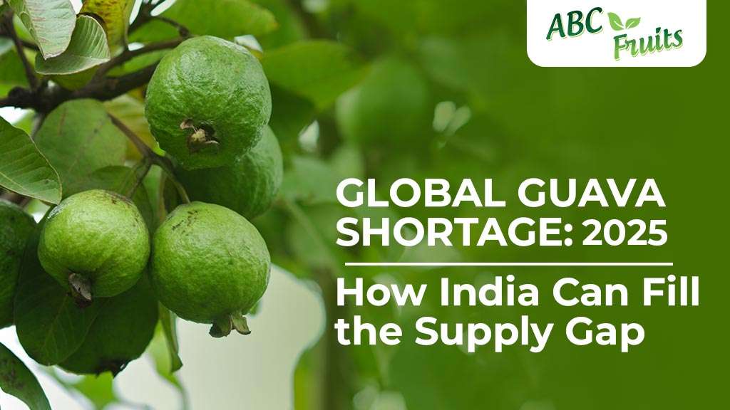 Global Guava Shortage: How India Can Fill the Supply Gap