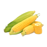 Sweet Corn