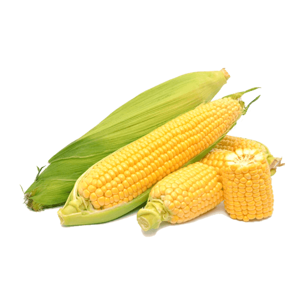 Sweet Corn