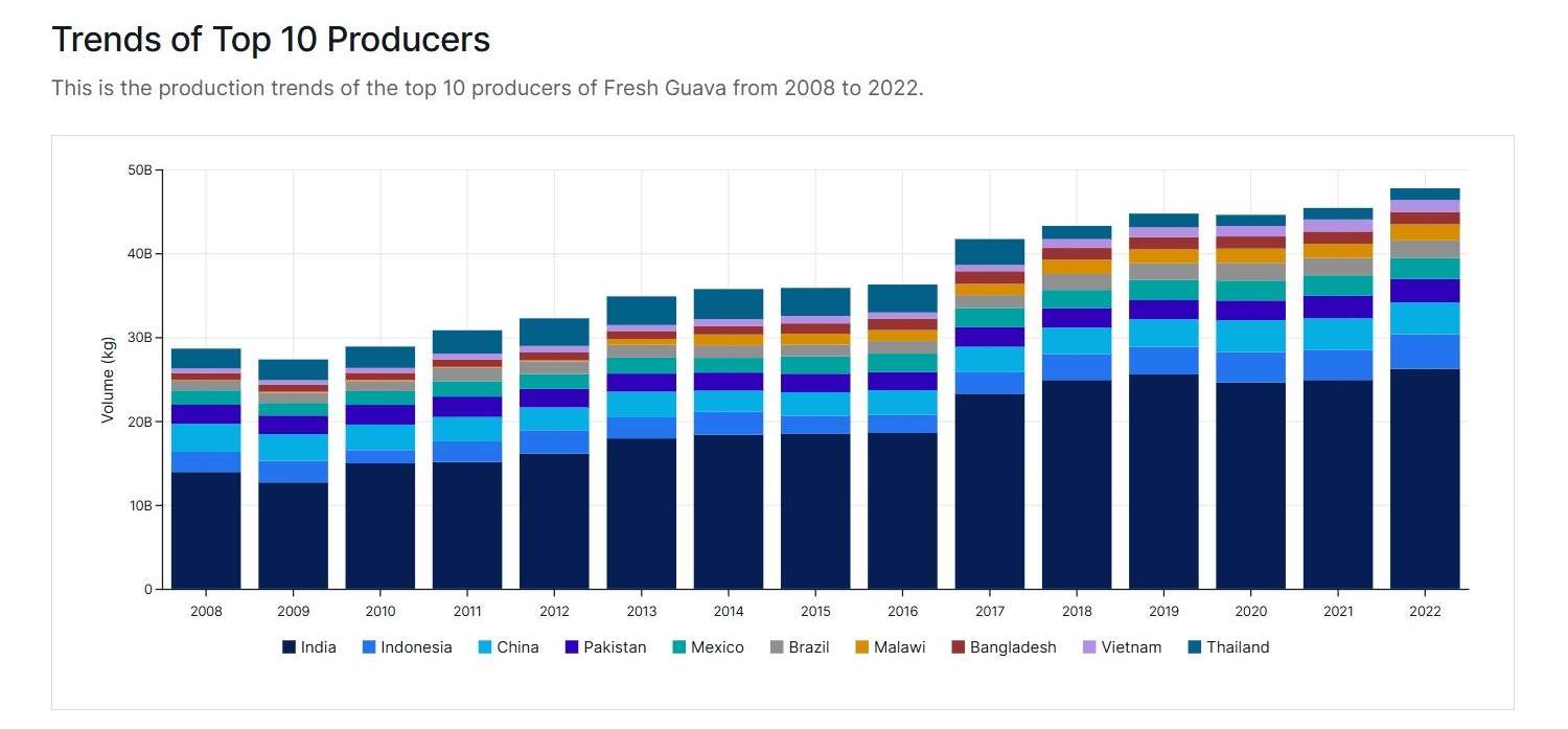 Top 10 Producers of Guava - Globaly 2008-2022 - ABC Fruits