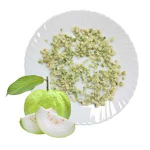 IQF White Guava Dices