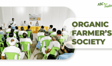 Organic Farmer's Society - ABC Fruits