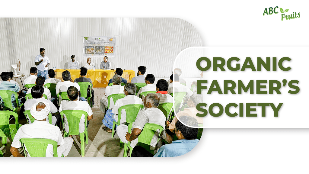 Organic Farmer's Society - ABC Fruits