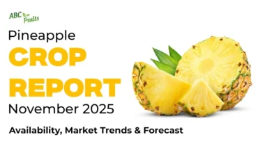 Pineapple Crop Report 2025 Availability, Market Trends & Forecast Pineapple Crop Report 2025 Availability, Market Trends & Forecast